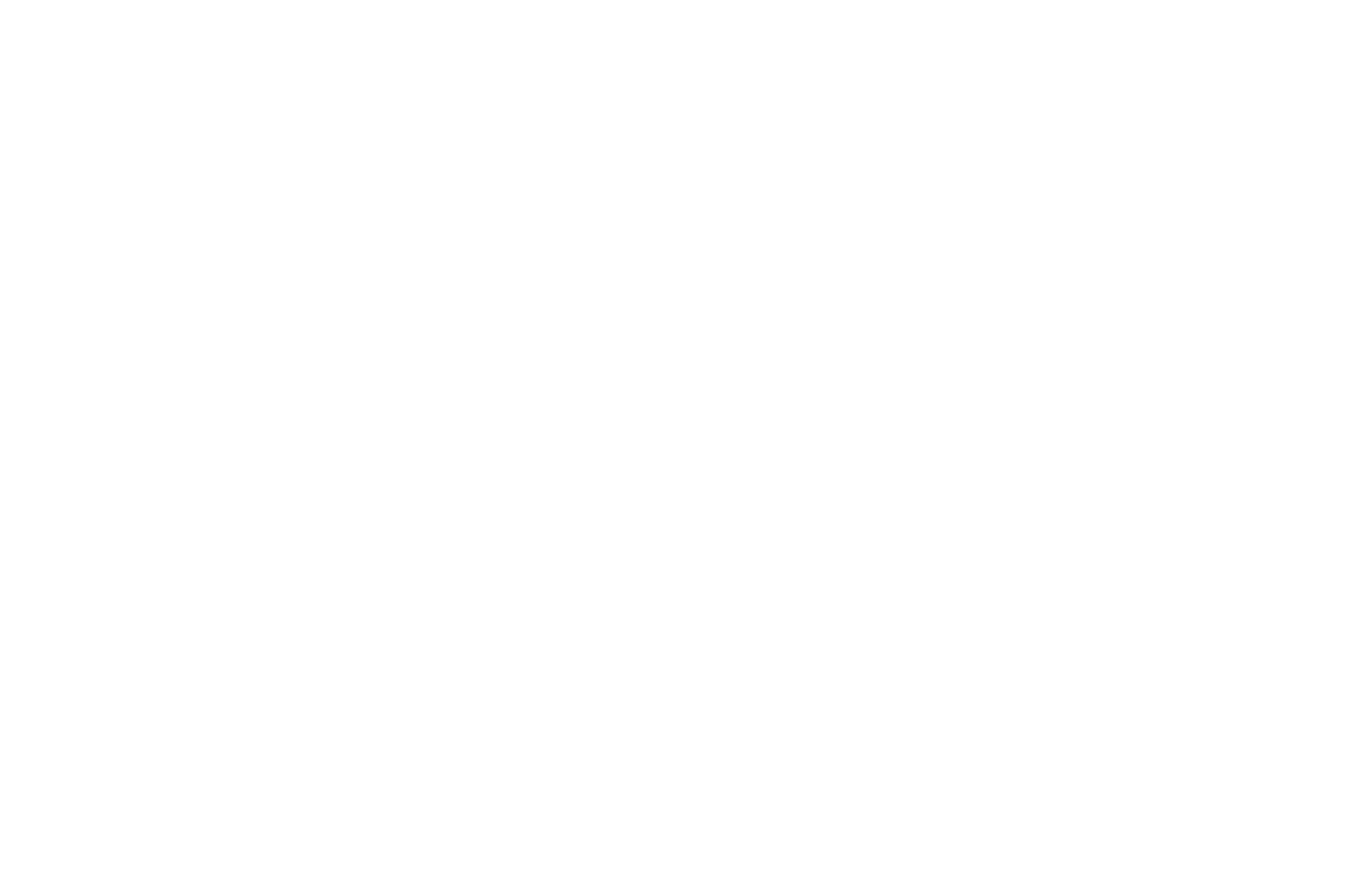nssf logo