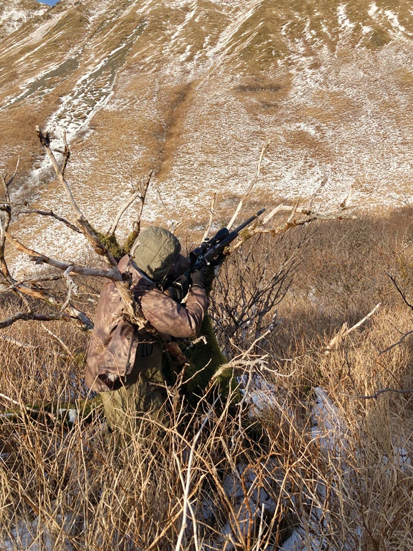 Field shooting support