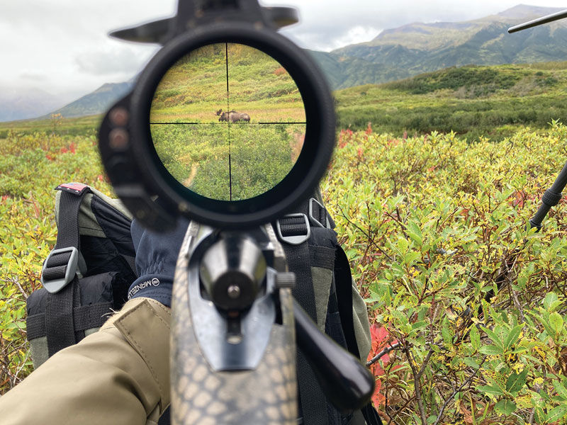 Reticles